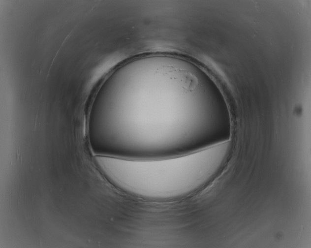 X0000093721269200710160742