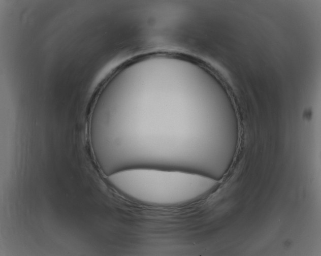 X0000093721271200710160742