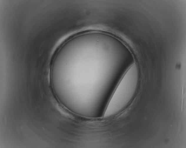X0000093721272200710160742