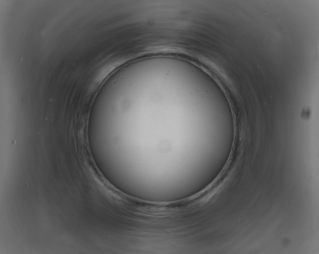 X0000093721273200710160742