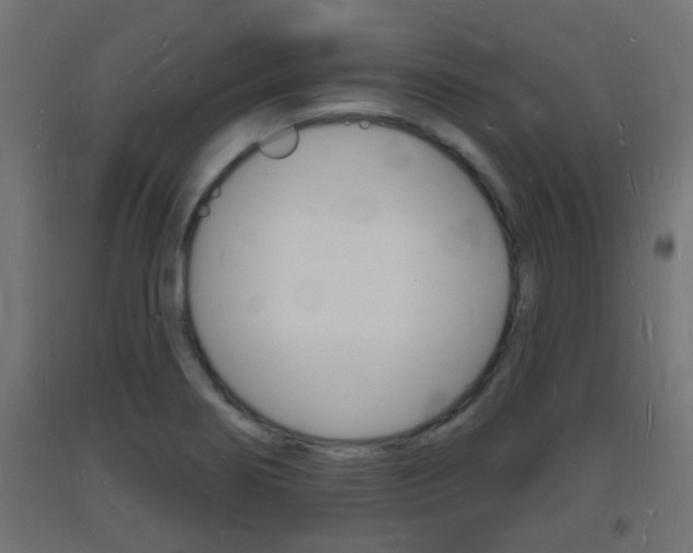 X0000093721274200710160742