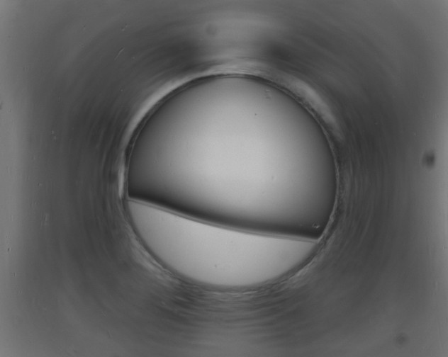 X0000093721276200710160742