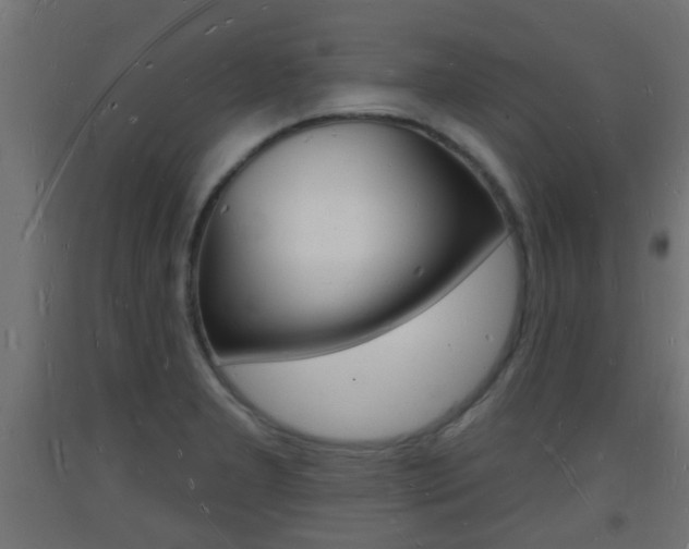 X0000093721277200710160742