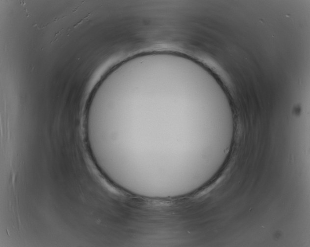 X0000093721278200710160742