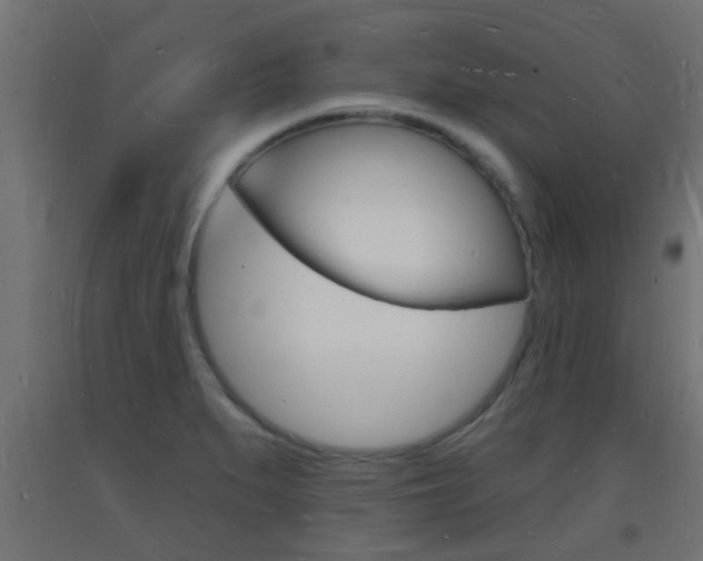 X0000093721279200710160742