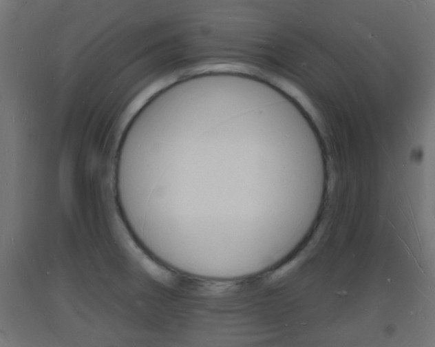 X0000093721282200710160742