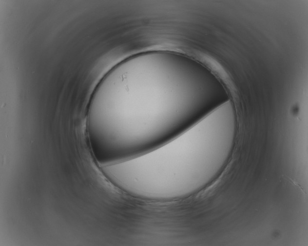 X0000093721284200710160742