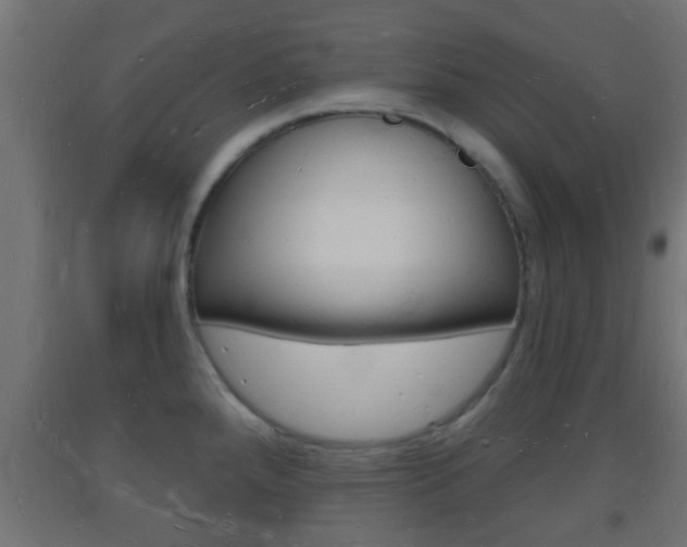 X0000093721288200710160742