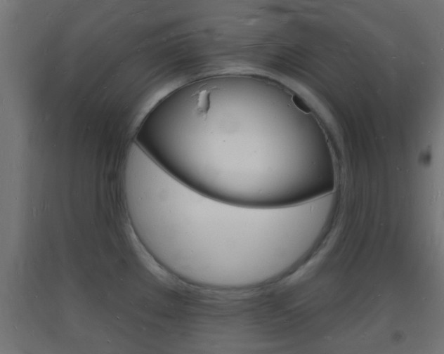 X0000093721289200710160742