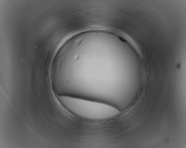 X0000093721291200710160742