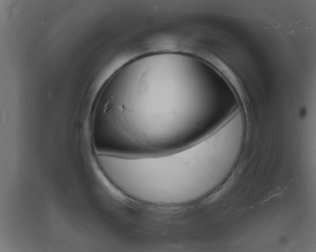 X0000093721293200710160742
