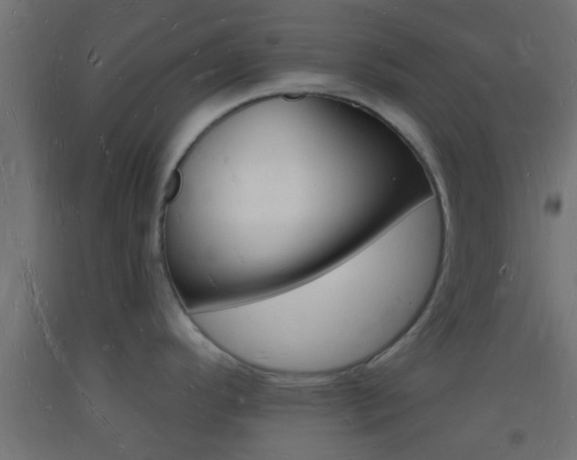 X0000093721296200710160742