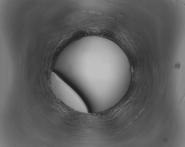 X0000093721297200710160741
