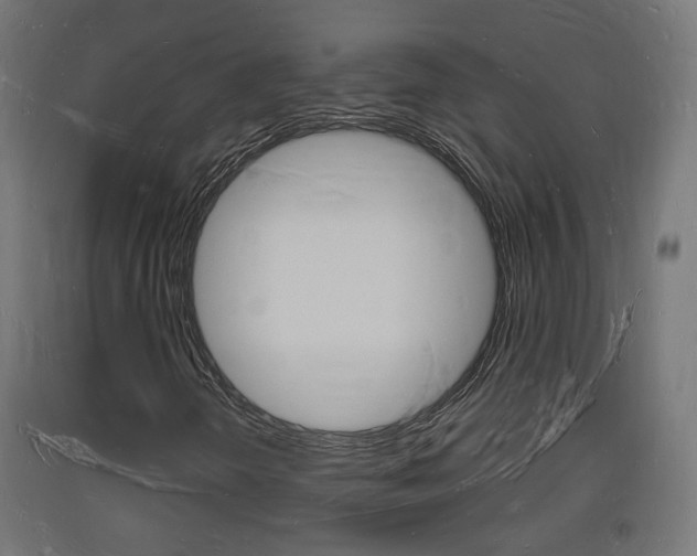 X0000093721298200710160741