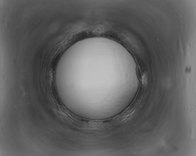 X0000093721299200710160741