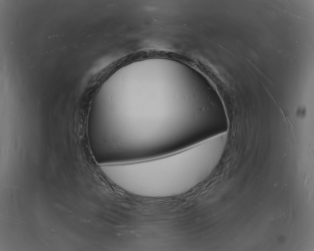X0000093721303200710160741
