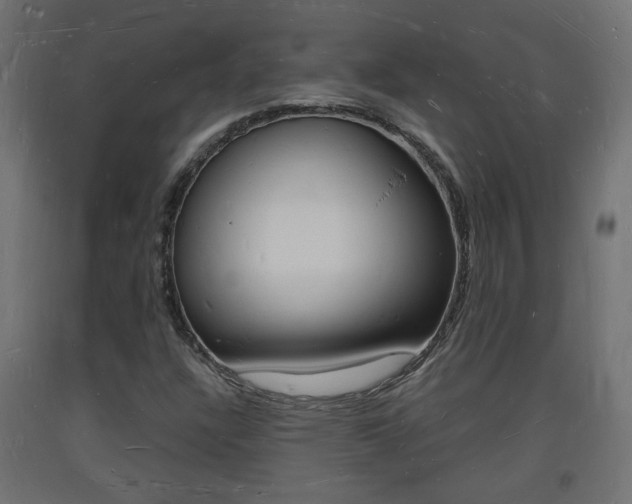 X0000093721304200710160741
