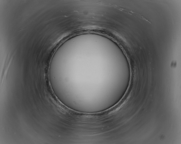 X0000093721305200710160741