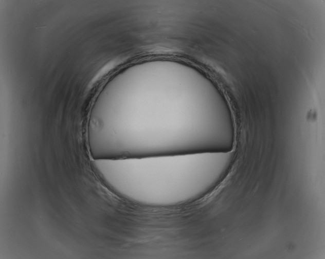 X0000093721306200710160741