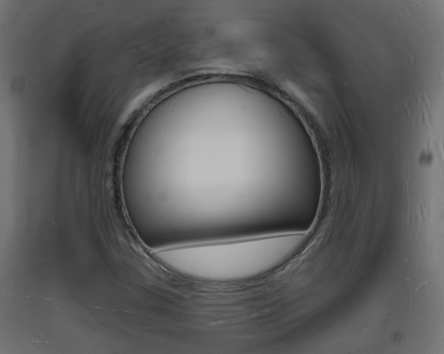 X0000093721307200710160741