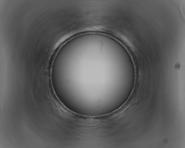 X0000093721308200710160741