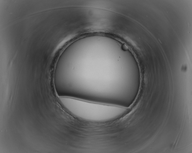 X0000093721309200710160741