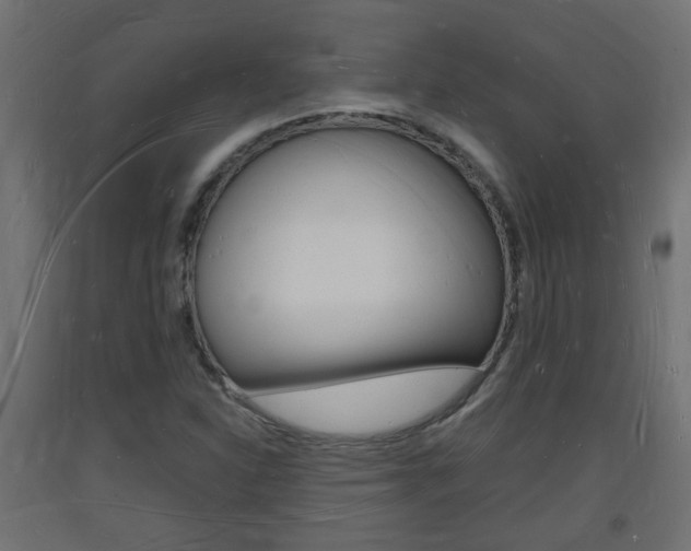 X0000093721310200710160741