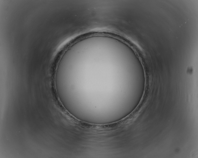X0000093721311200710160741