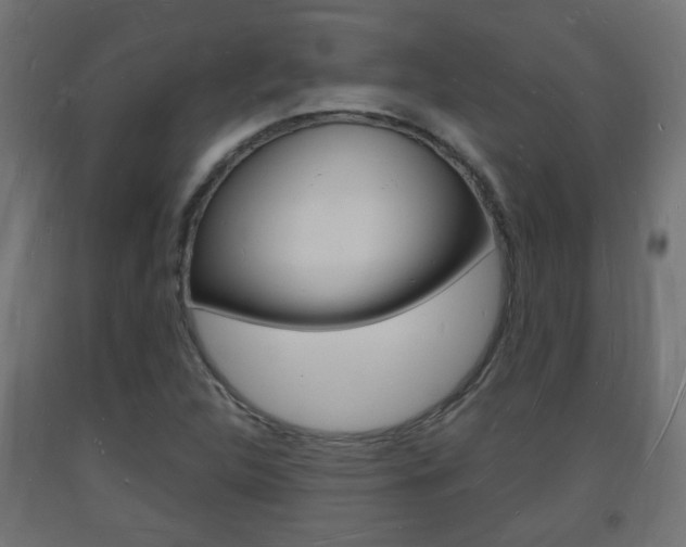 X0000093721312200710160741