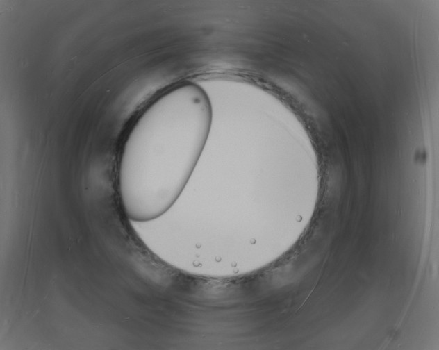 X0000093721314200710160742