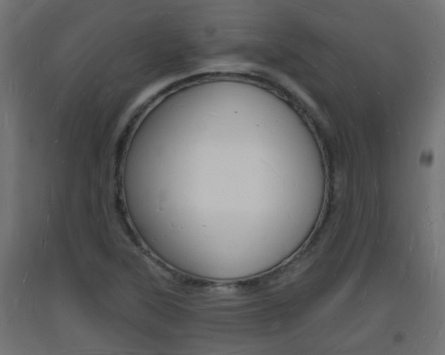 X0000093721315200710160742
