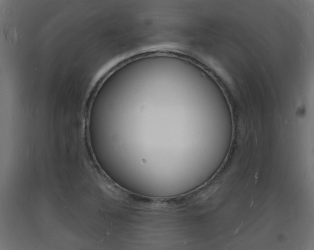 X0000093721316200710160742