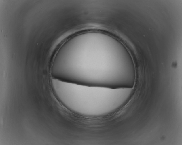 X0000093721318200710160742