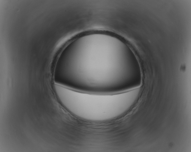 X0000093721319200710160742