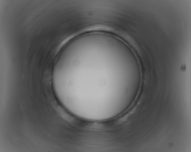 X0000093721321200710160742