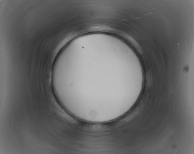 X0000093721322200710160742