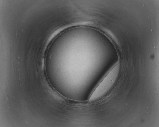 X0000093721324200710160742