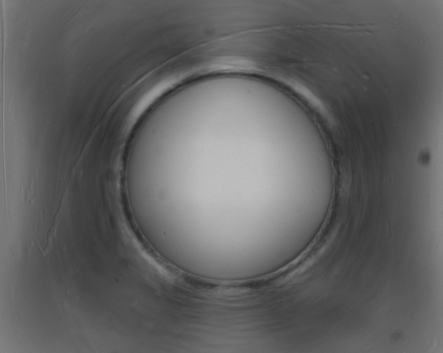 X0000093721325200710160742