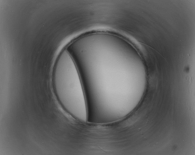 X0000093721327200710160742
