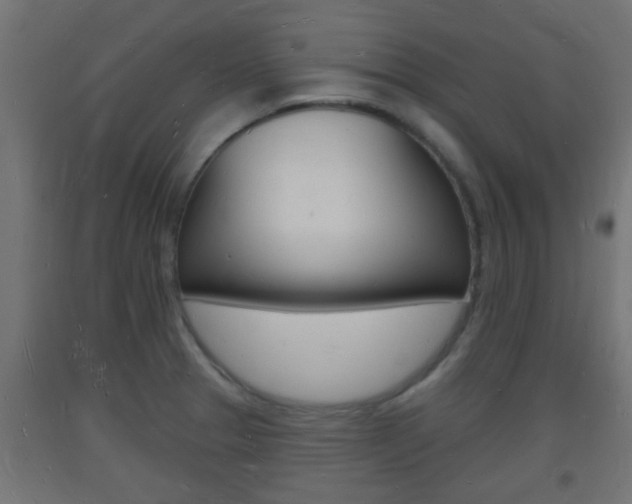 X0000093721329200710160742