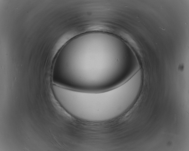 X0000093721330200710160742