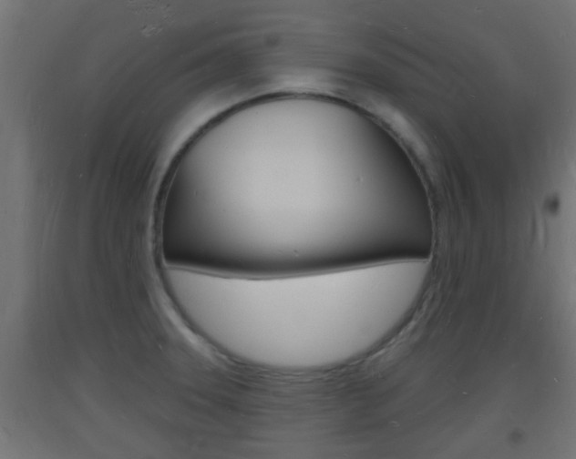 X0000093721331200710160742