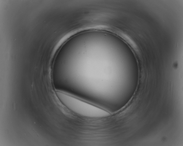 X0000093721332200710160742