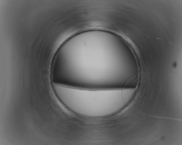 X0000093721333200710160742