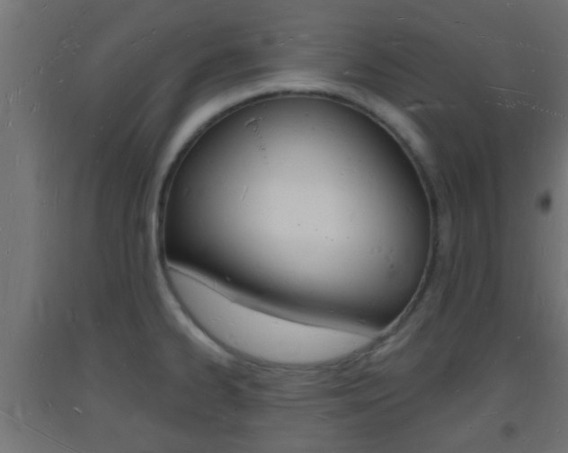 X0000093721334200710160742
