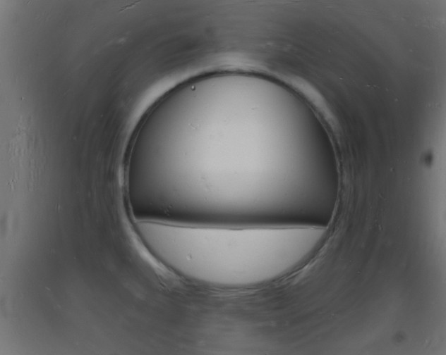 X0000093721335200710160742