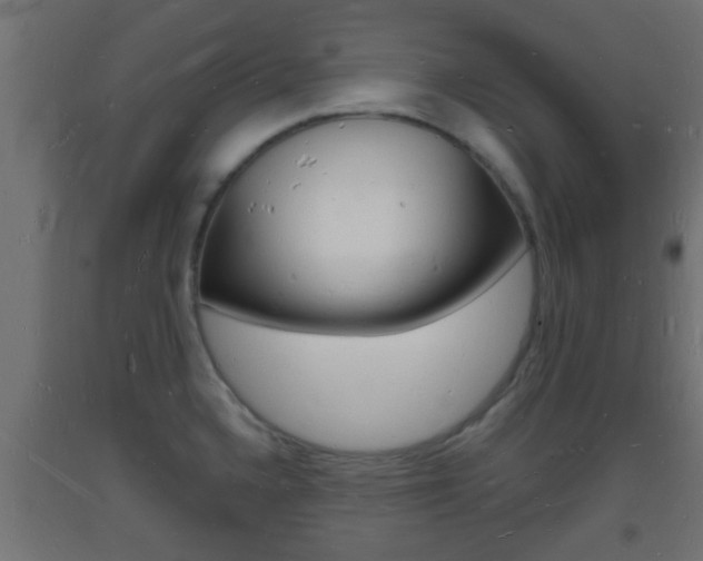 X0000093721336200710160742