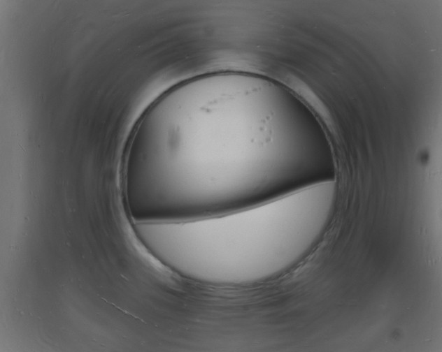 X0000093721339200710160742