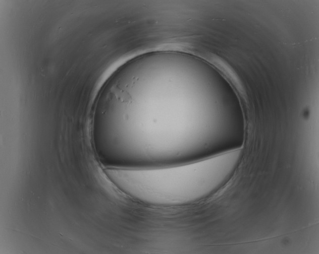 X0000093721340200710160742