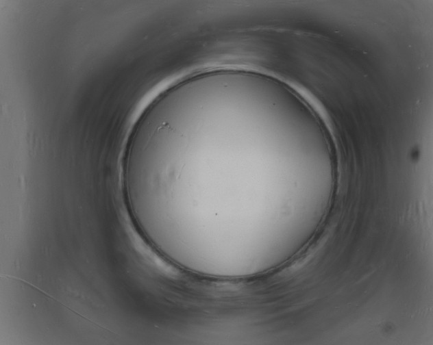 X0000093721341200710160742